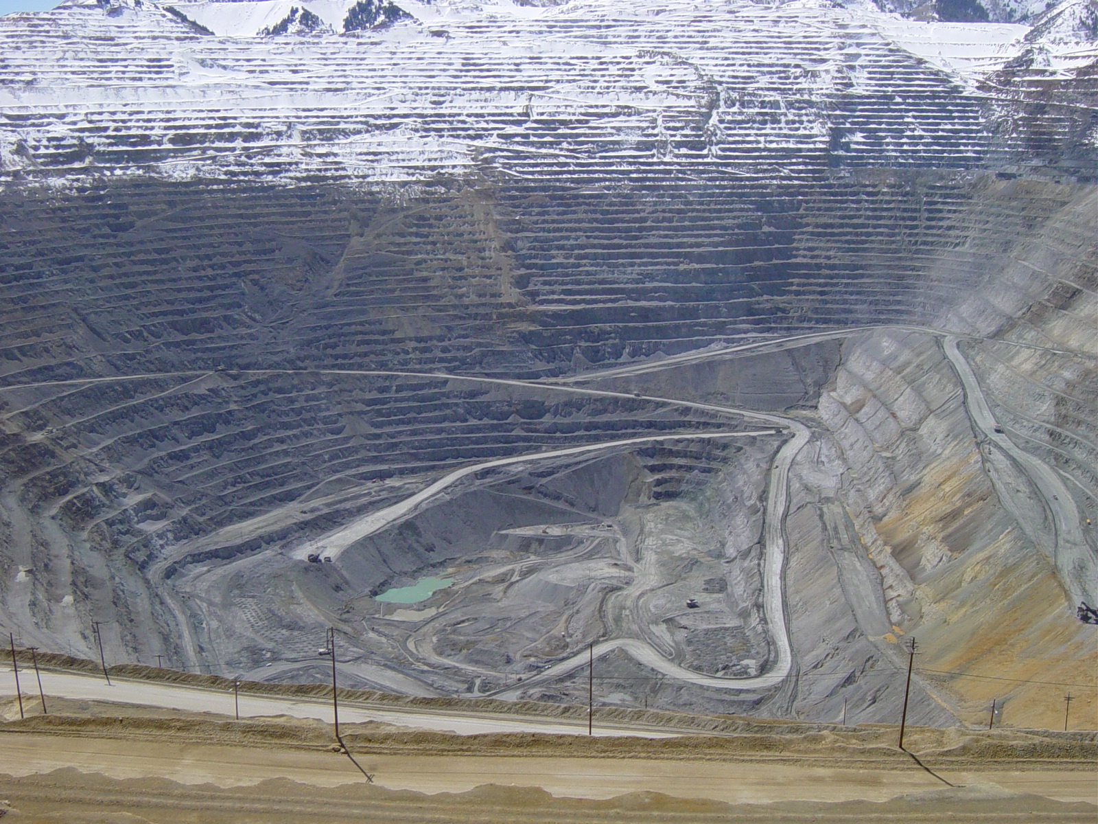 Bingham_2005.jpg